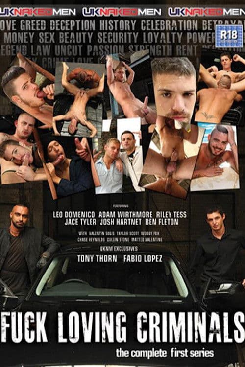 Fuck Loving Criminals poster