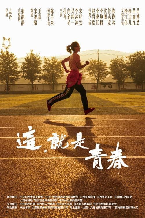 这，就是青春 poster