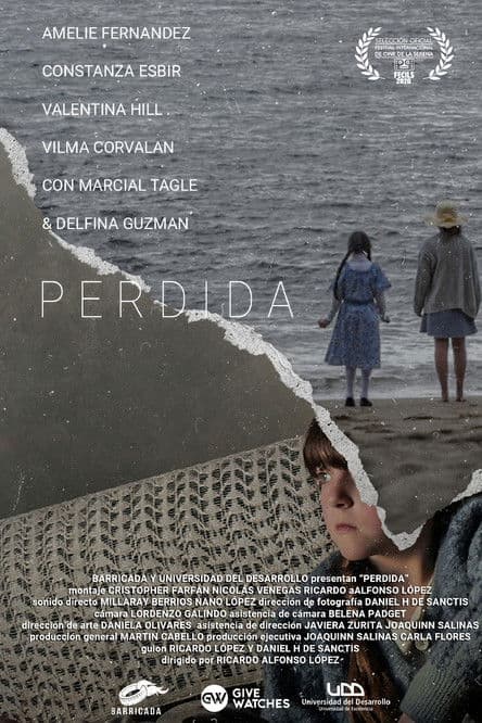 Perdida poster