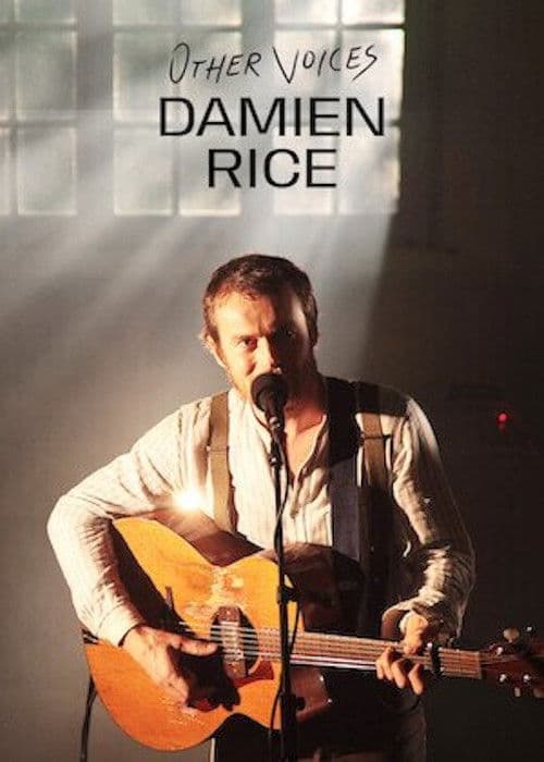 Other Voices: Damien Rice poster
