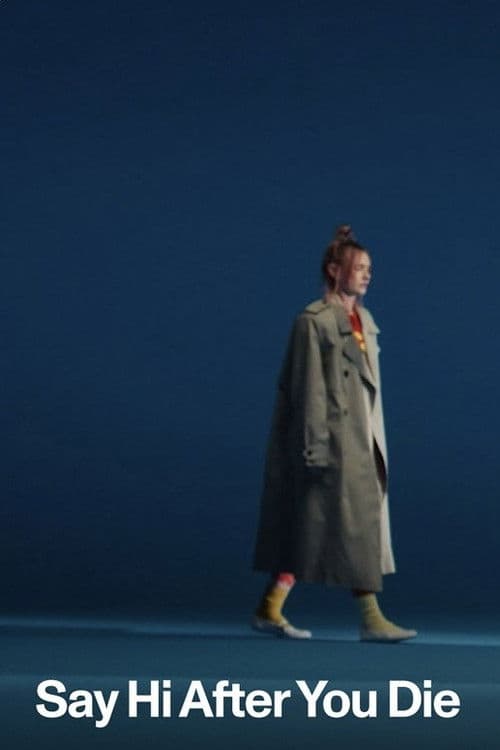 Say Hi After You Die poster