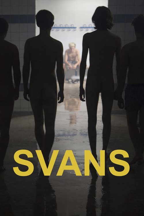 Swans poster