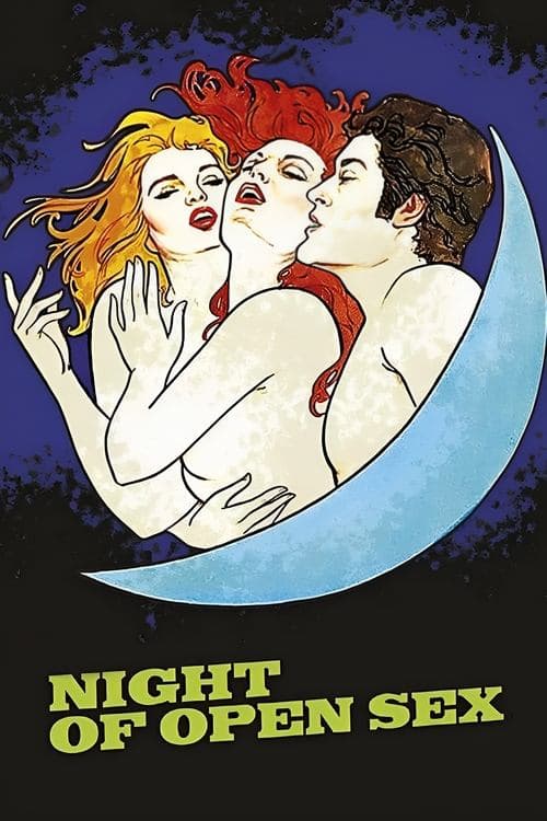 The Night Of Open Sex poster