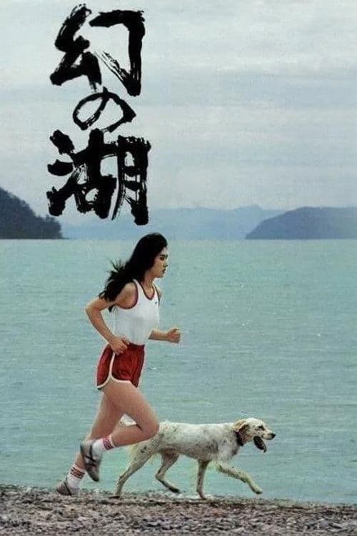 Lake of Illusions poster