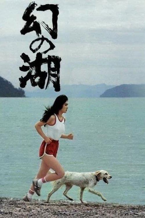 Lake of Illusions poster