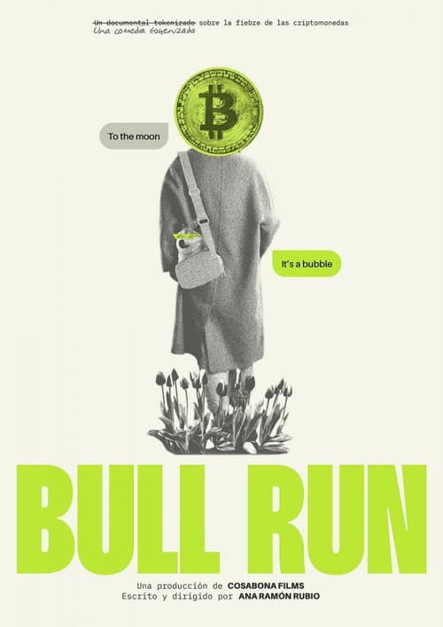 Bull Run poster