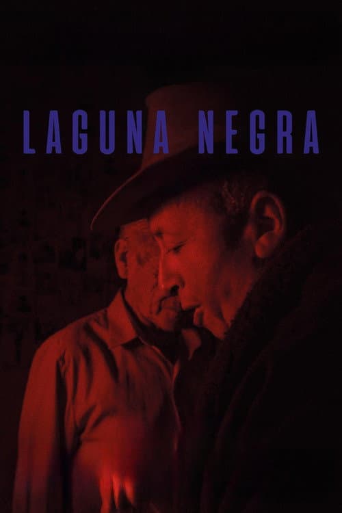 Laguna negra poster