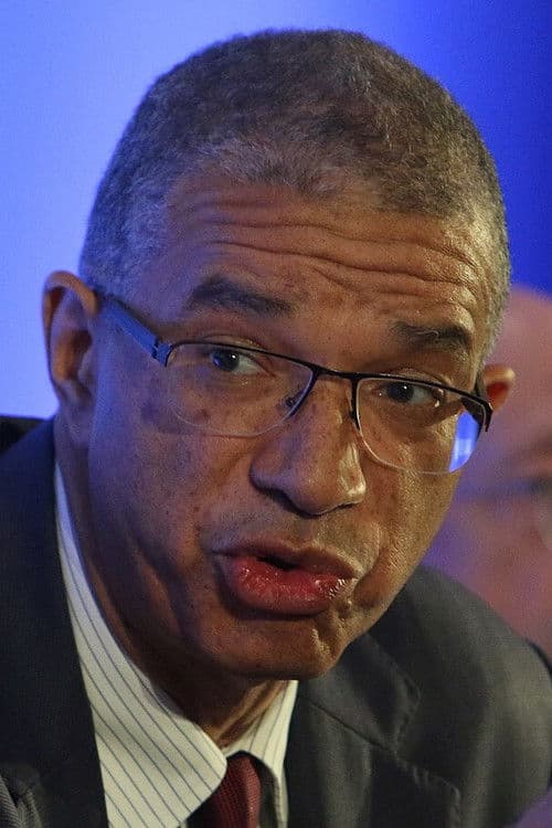 Lionel Zinsou profile photo