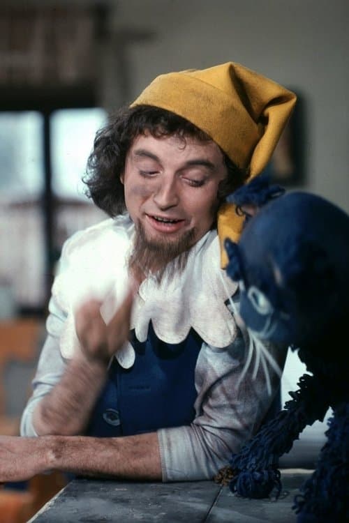 Kouzelné dřeváky poster