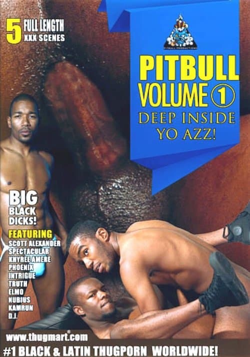 Pitbull 1: Deep Inside Yo Azz poster