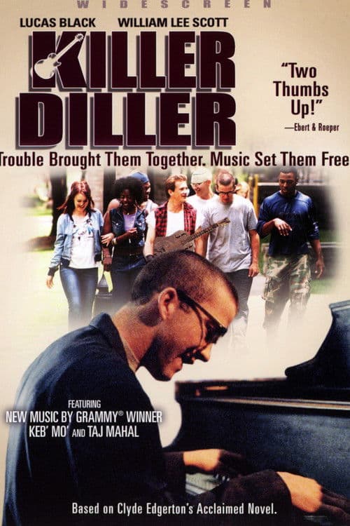Killer Diller poster