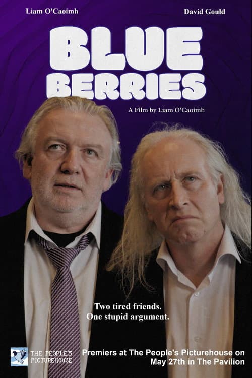 Blueberries poster