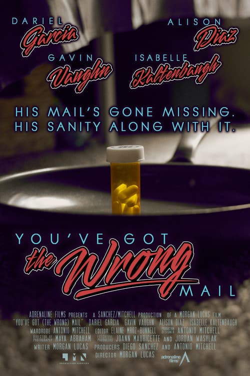 You've Got (the Wrong) Mail poster