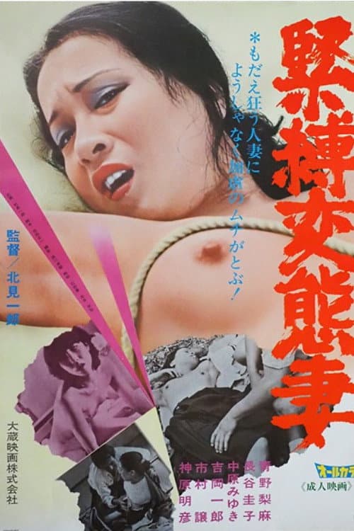 Kinbaku hentai tsuma poster