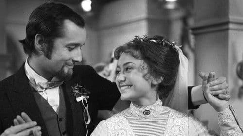 Já se vrátím poster