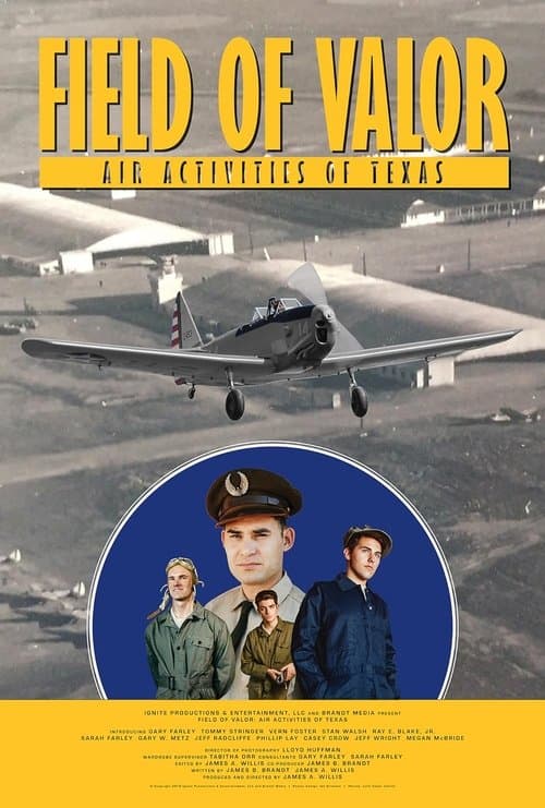 Field of Valor: Air Activities of Texas poster