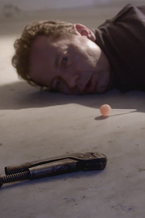 Berör Amadeus Flamander poster