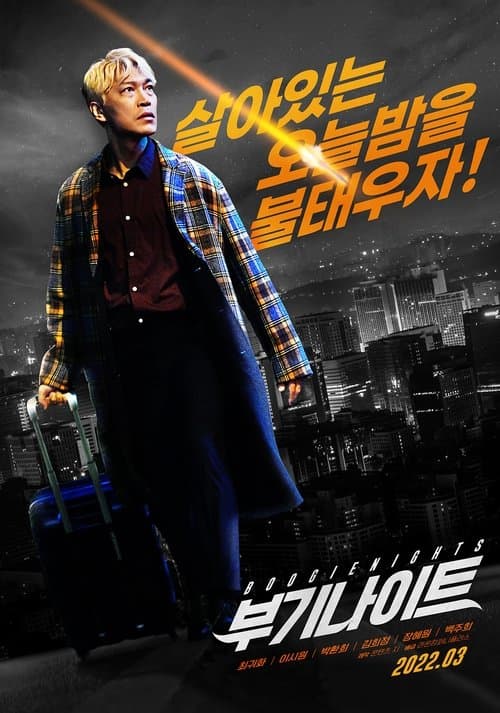 Boogie Nights poster