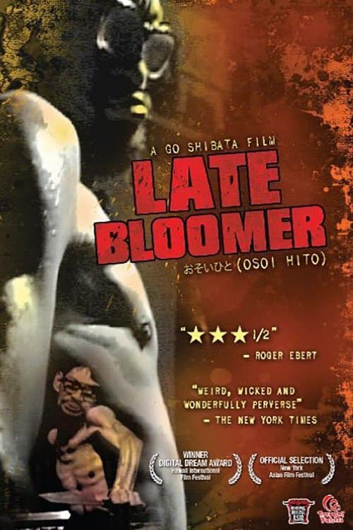 Late Bloomer poster
