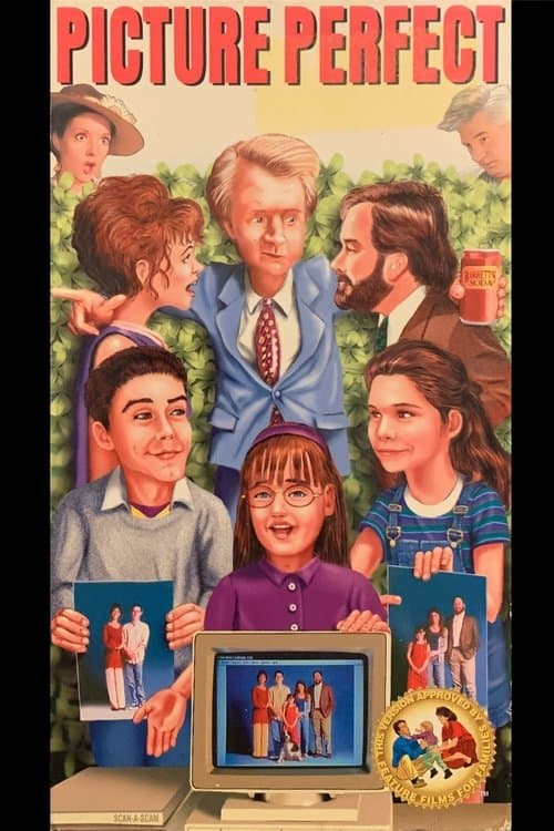 Picture Perfect poster