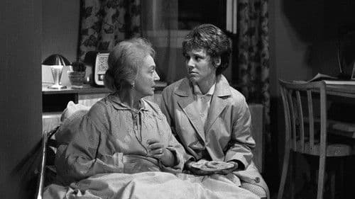 Okno místo dveří poster