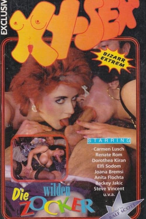 Die wilden Zocker poster