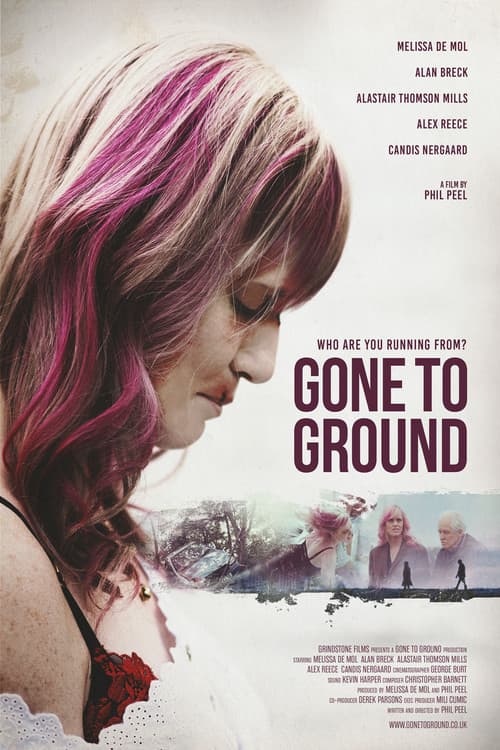 Gone to Ground poster