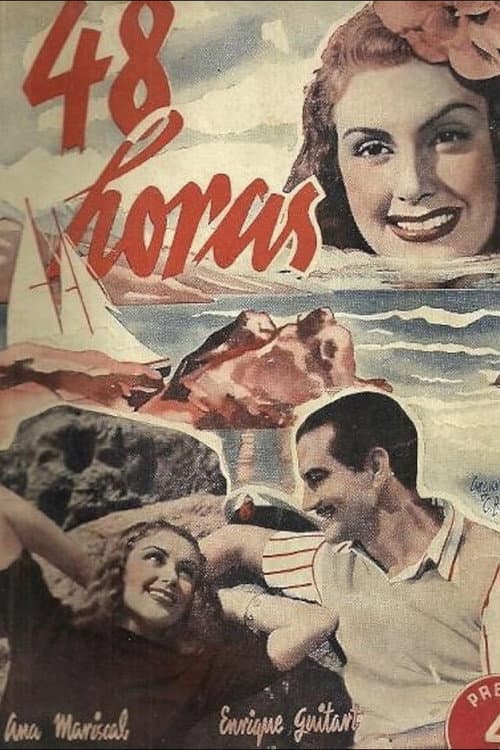 Cuarenta y ocho horas poster
