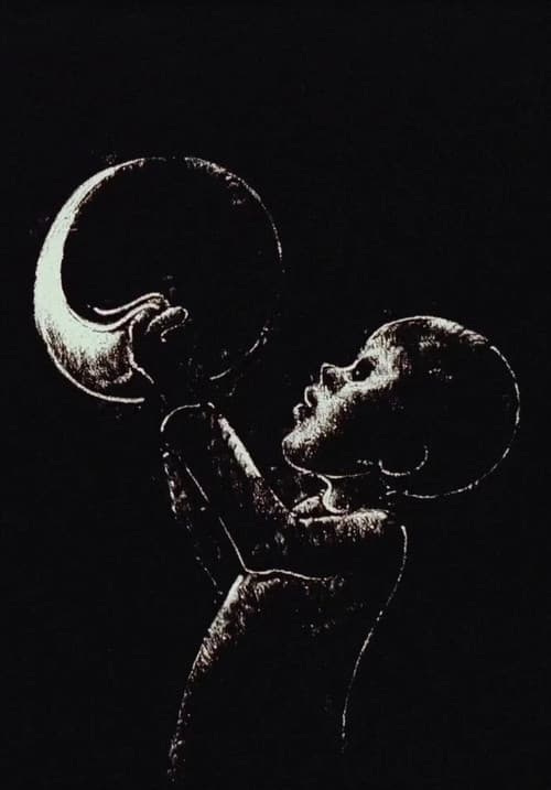 The Boy Who Stole the Moon poster