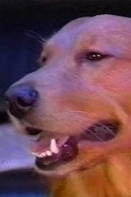 Dudley profile photo