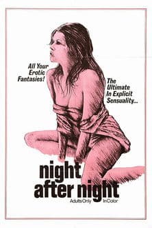 Night After Night poster