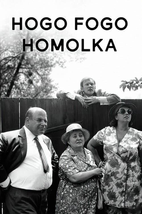 Hogo Fogo Homolka poster
