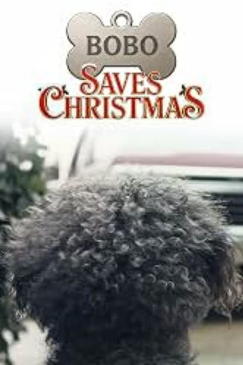 Bobo Saves Christmas poster