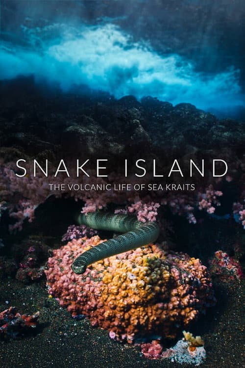 Snake Island: The Volcanic Life of Sea Kraits poster