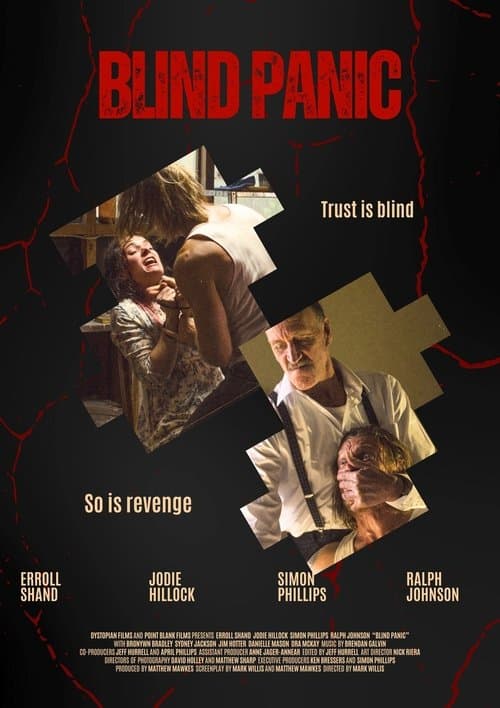 Blind Panic poster