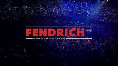 Fendrich Live - Schwarzoderweiss Tour 2017 poster