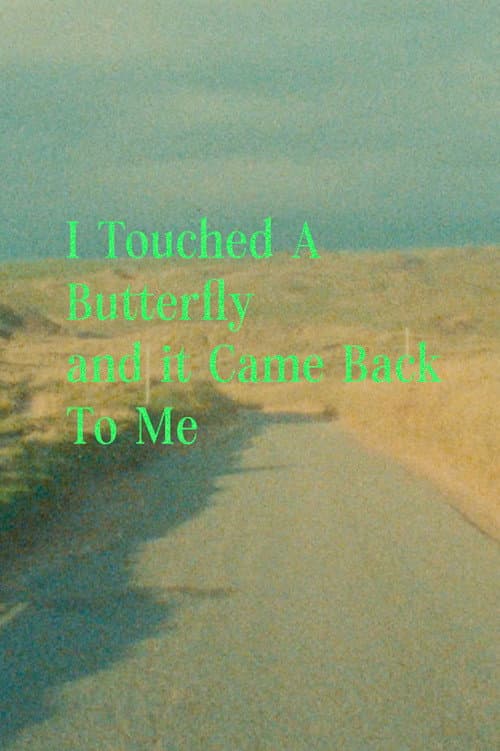 I Touched A Butterfly and It Came Back to Me poster