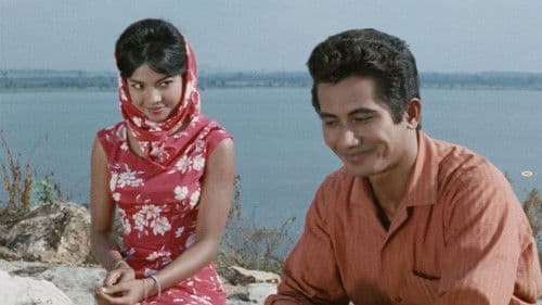 Sugar Is Not Sweet poster