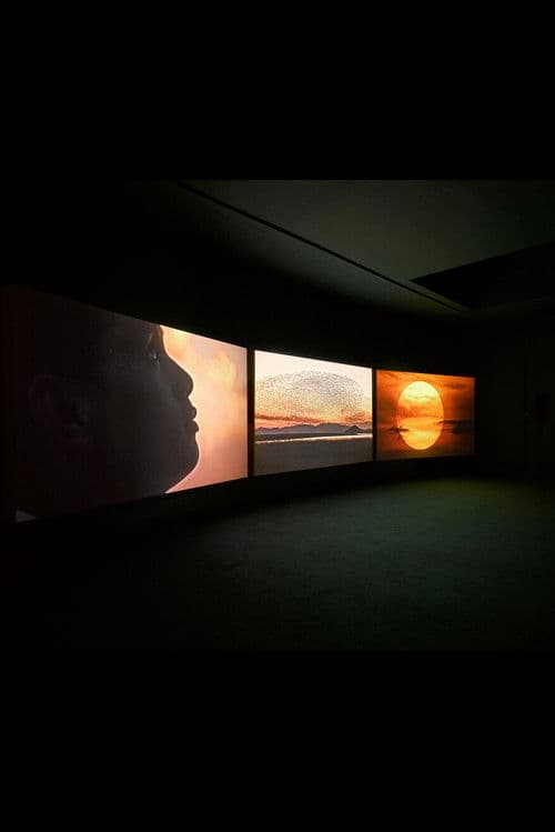 Four Nocturnes poster