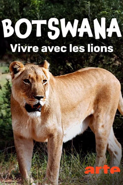 Botswana, Leben mit Löwen poster