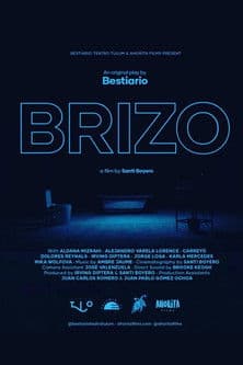 Brizo poster