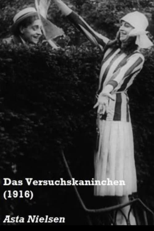 The Guinea-Pig poster