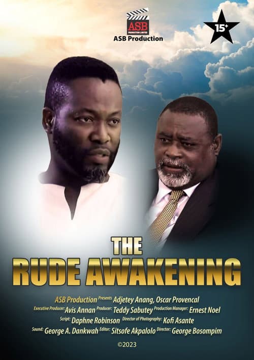 The Rude Awakening poster