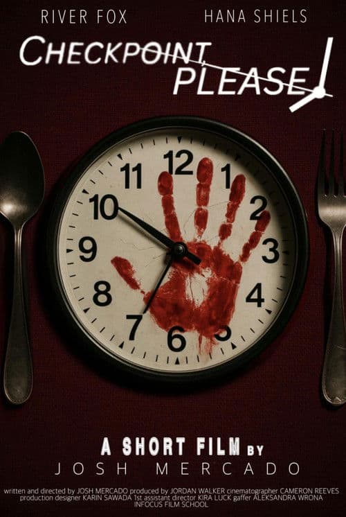 Checkpoint, Please! poster