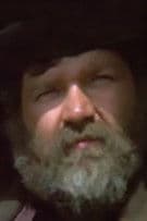 Tommy Polgár profile photo