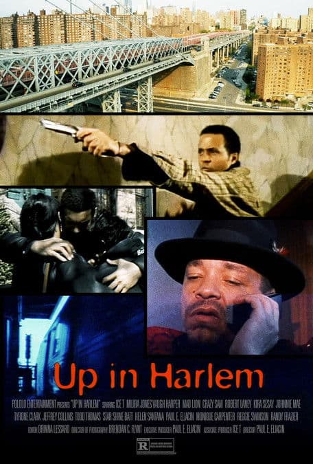 Up in Harlem poster