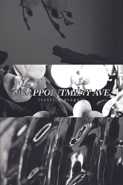 Disappointment Ave. Test No.1 poster