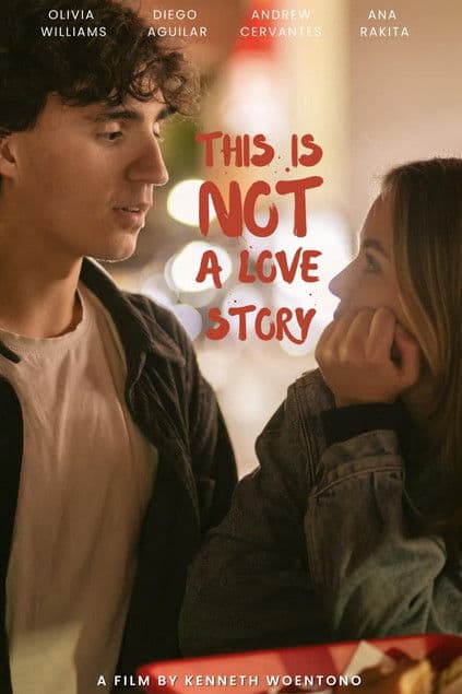 This Is Not a Love Story poster