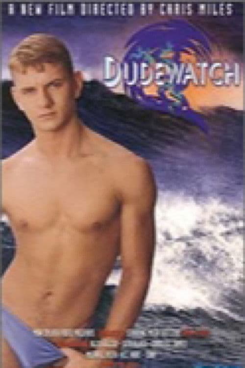 Dudewatch poster