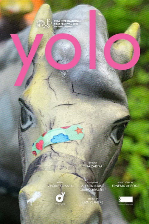 yolo poster